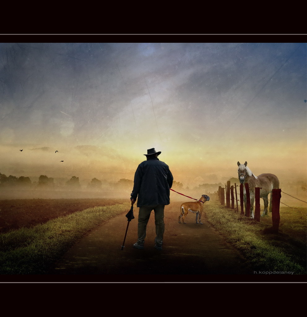 Horse and Hound